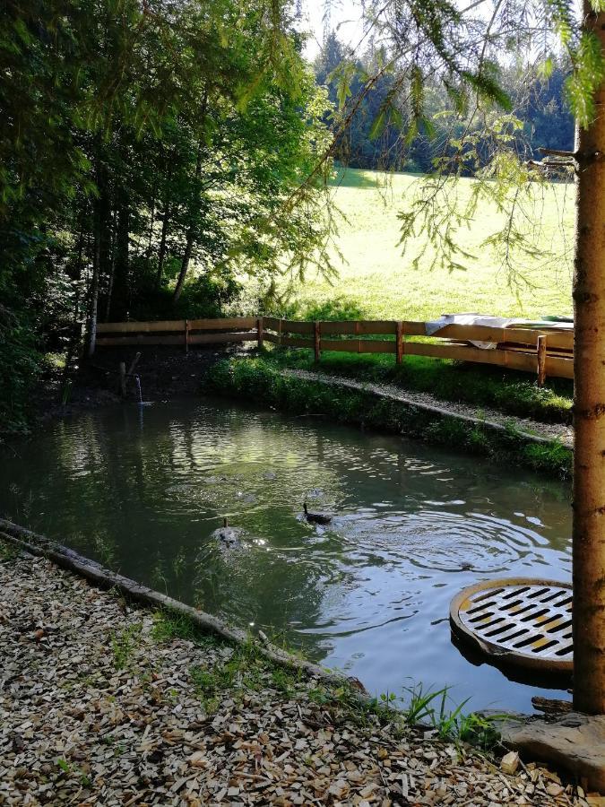 Ferienhaus Am Waldrand Von Egg Bregenzer Wald Eksteriør billede