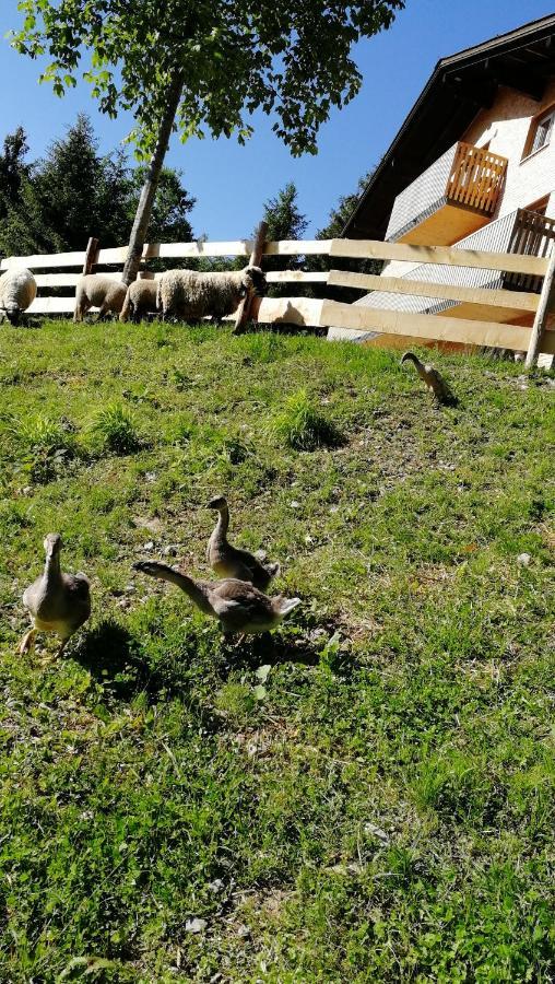 Ferienhaus Am Waldrand Von Egg Bregenzer Wald Eksteriør billede