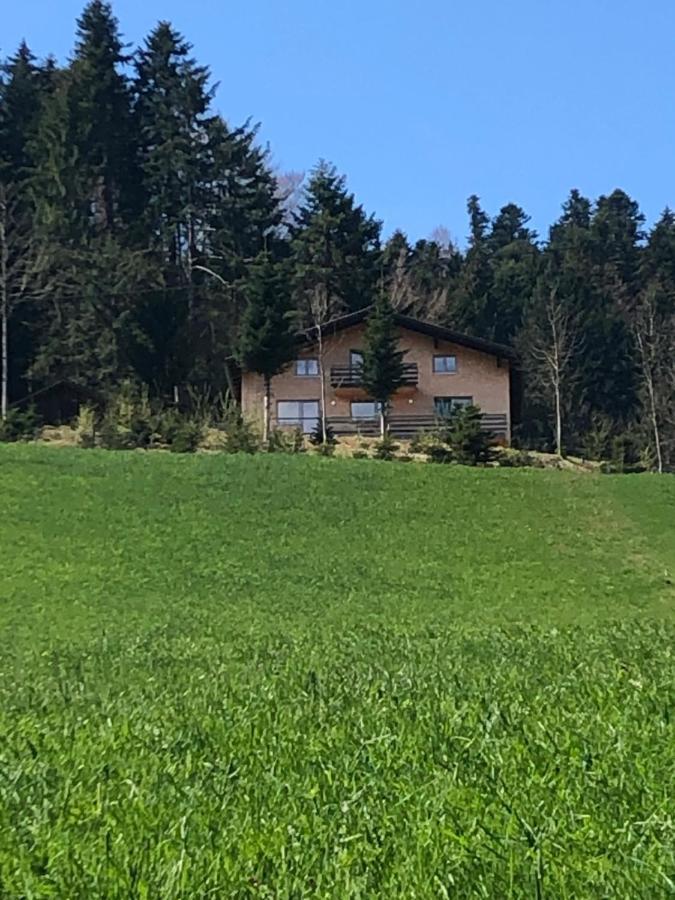 Ferienhaus Am Waldrand Von Egg Bregenzer Wald Eksteriør billede