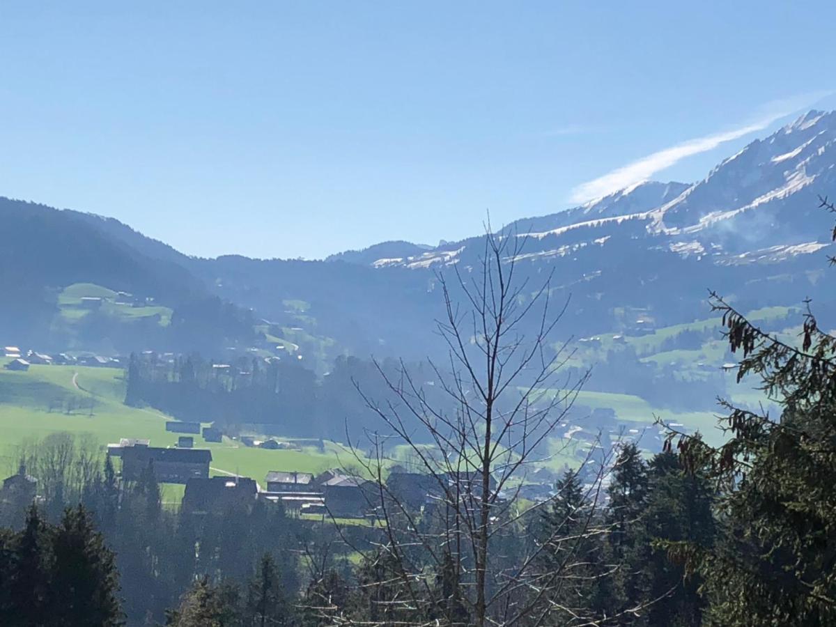 Ferienhaus Am Waldrand Von Egg Bregenzer Wald Eksteriør billede