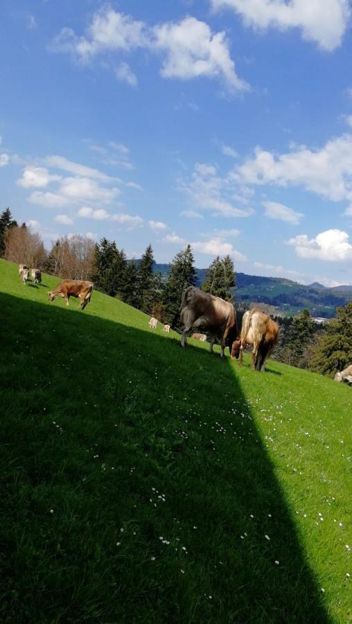 Ferienhaus Am Waldrand Von Egg Bregenzer Wald Eksteriør billede